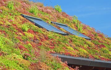 Ulverston living roof systems